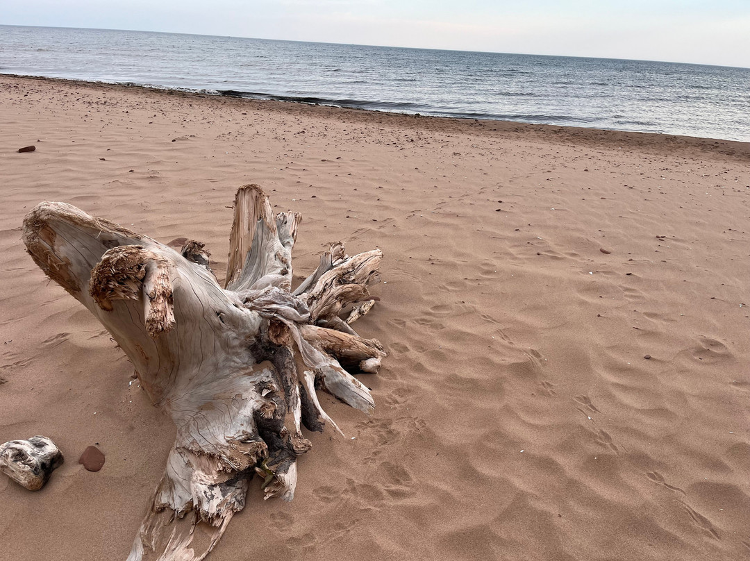 Dalvay Beach-York必去景点