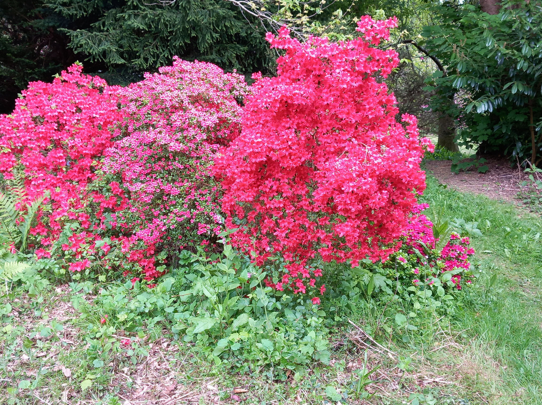 The American Garden-海斯必去景点