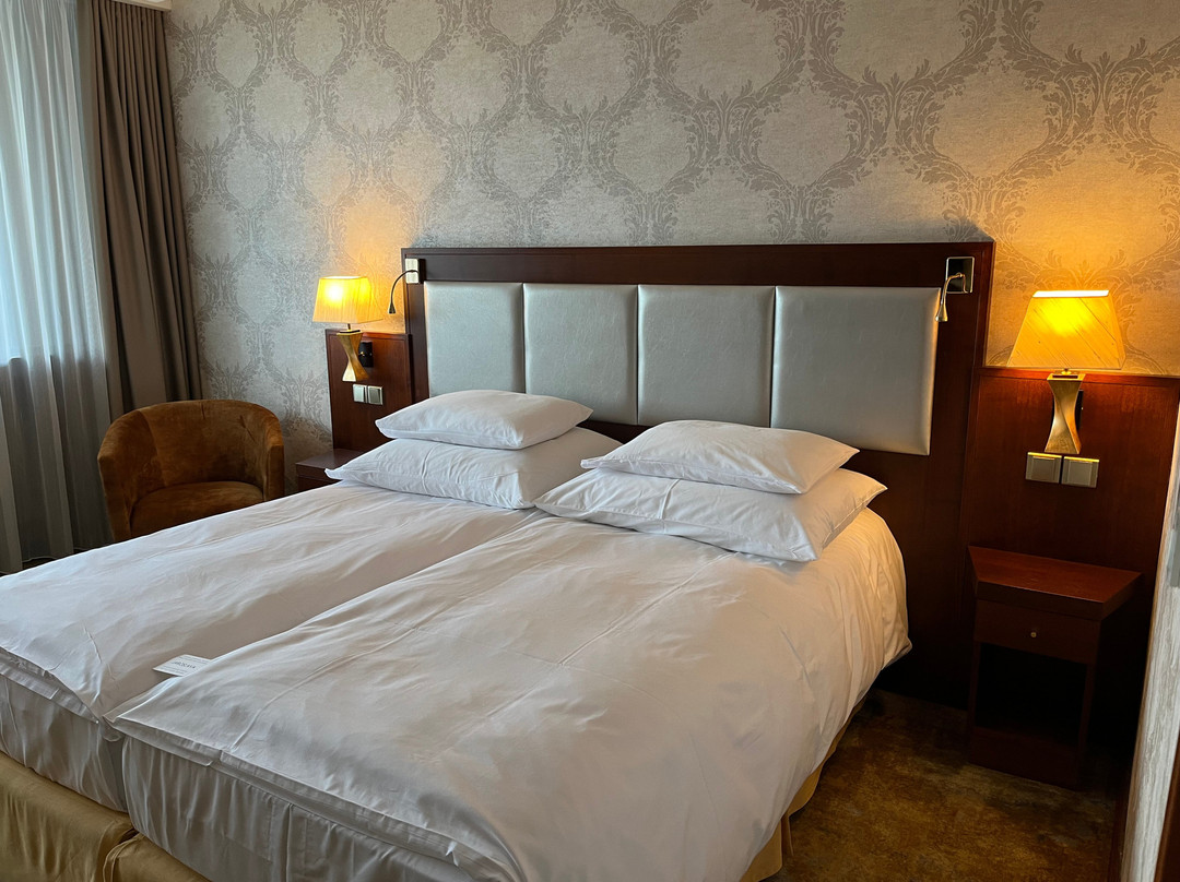Wellness & Spa Hotel Kaskady主图