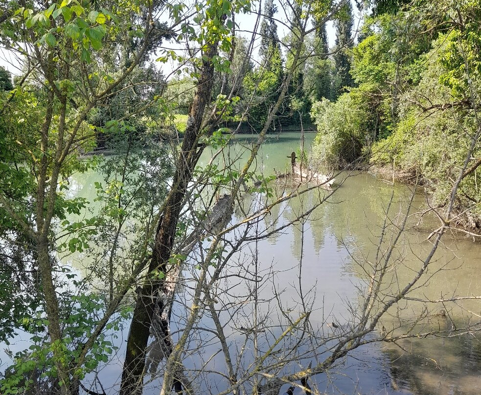 Cimitero dei Burci-Casier必去景点
