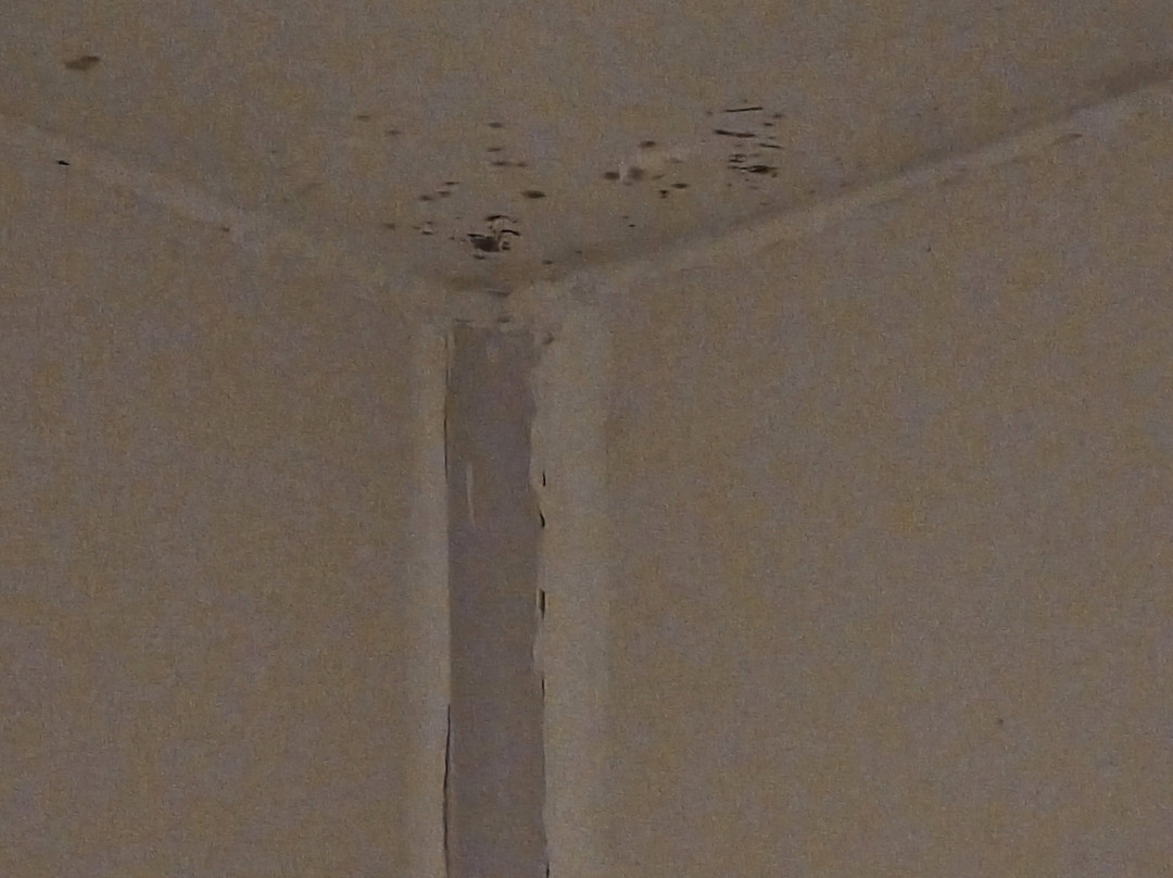 OYO The White Horse主图