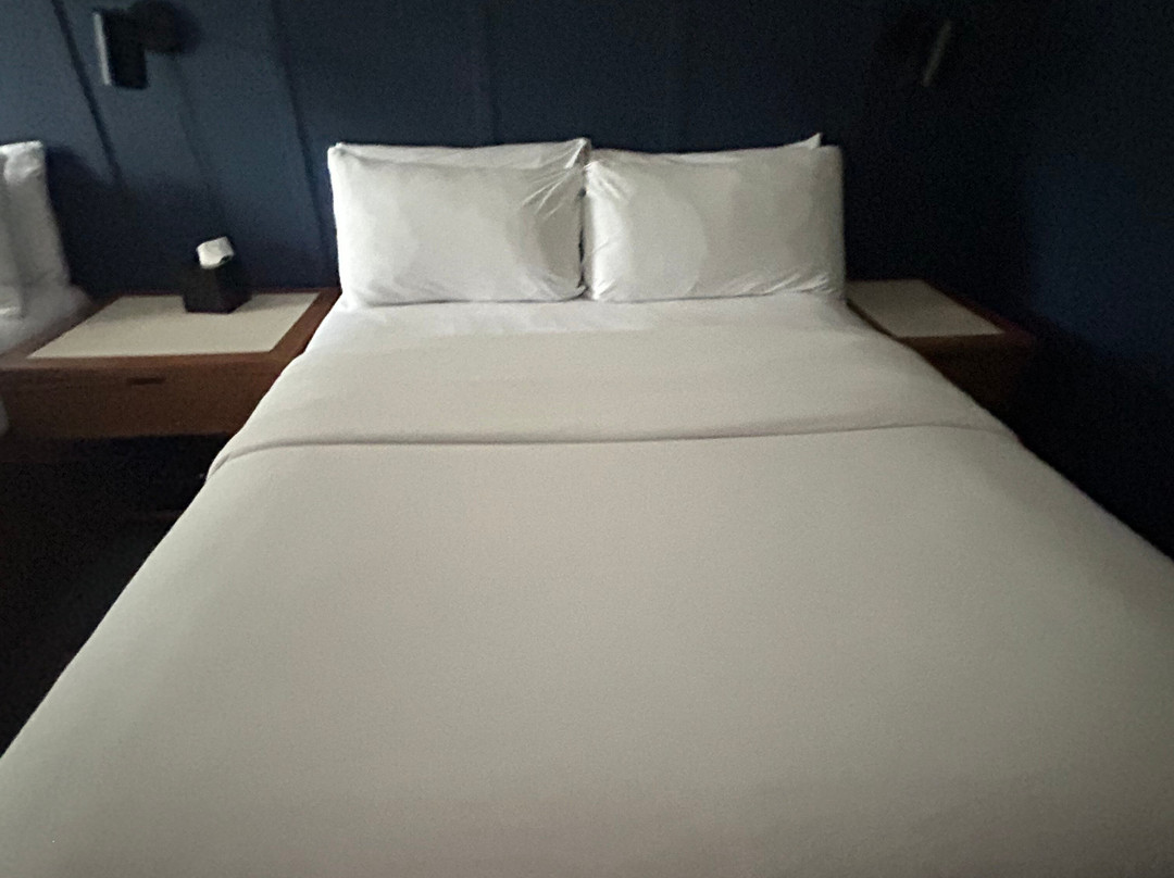 Bardstown Motor Lodge主图