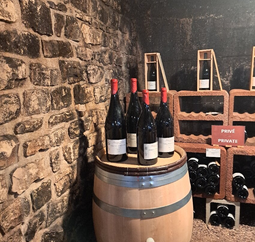 Domaine Armelle et Bernard Rion-Vosne-Romanee必去景点