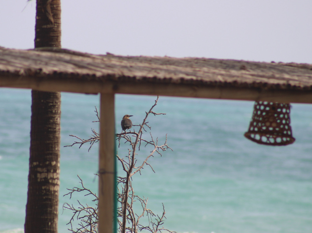 Chiniu Hotel Boutique主图