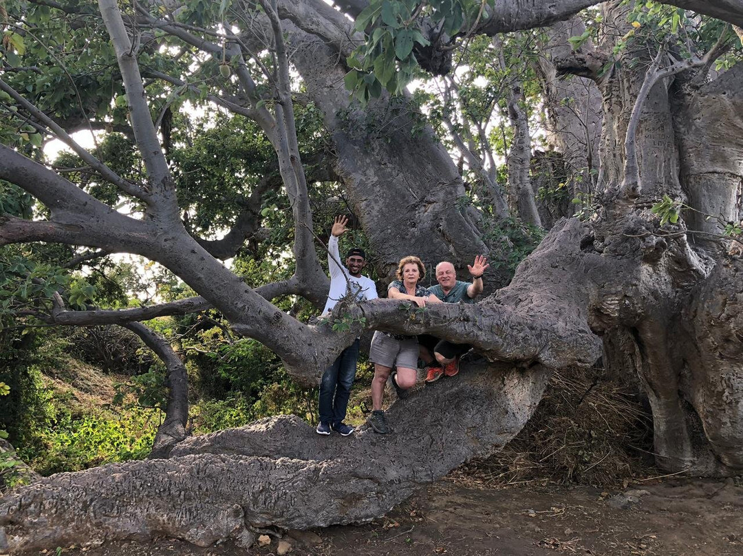 Edmar alves fogo-Sao Filipe必去景点