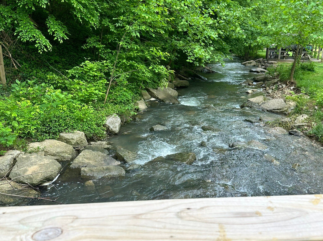 Cove Springs Park-法兰克福必去景点