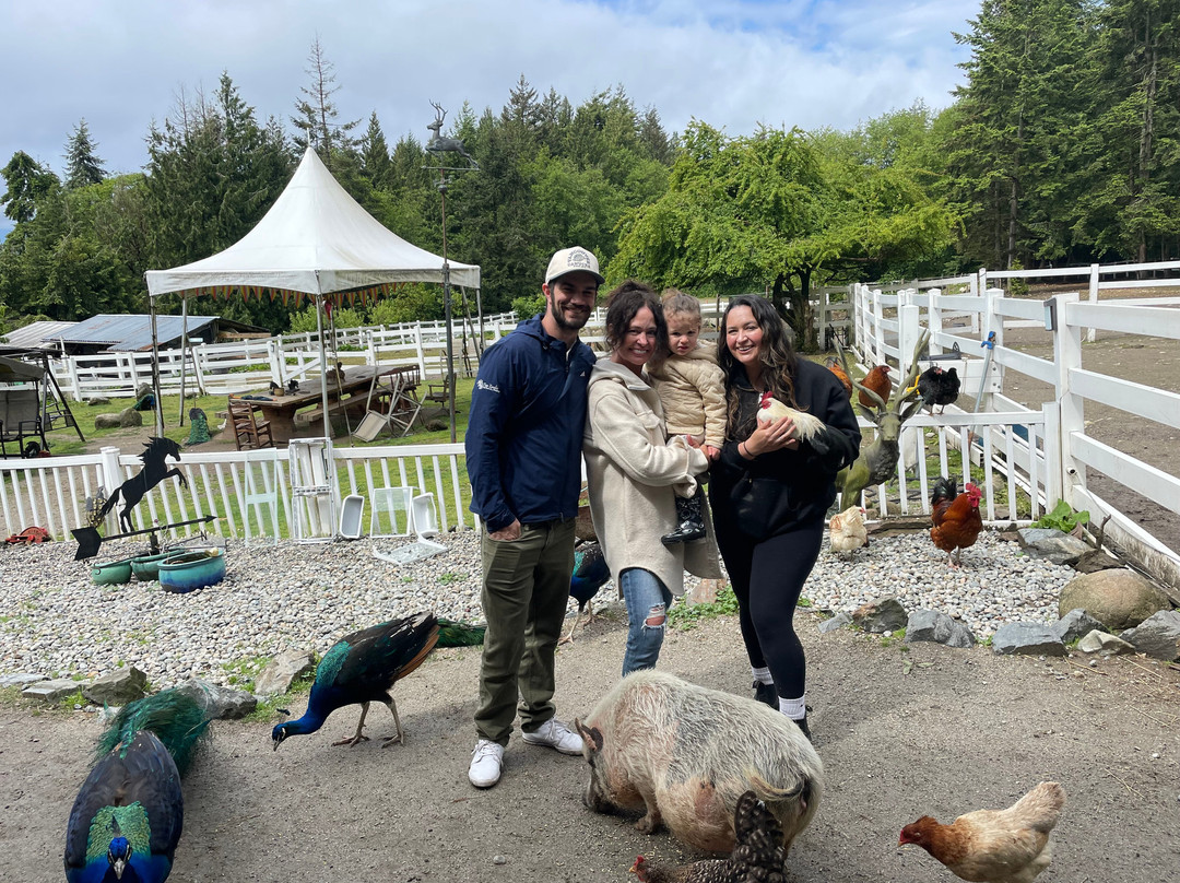 Farm Ventures-Roberts Creek必去景点