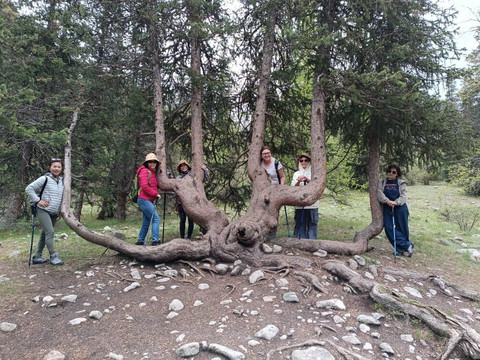 Kyrgyz Tourism-比斯凯克必去景点