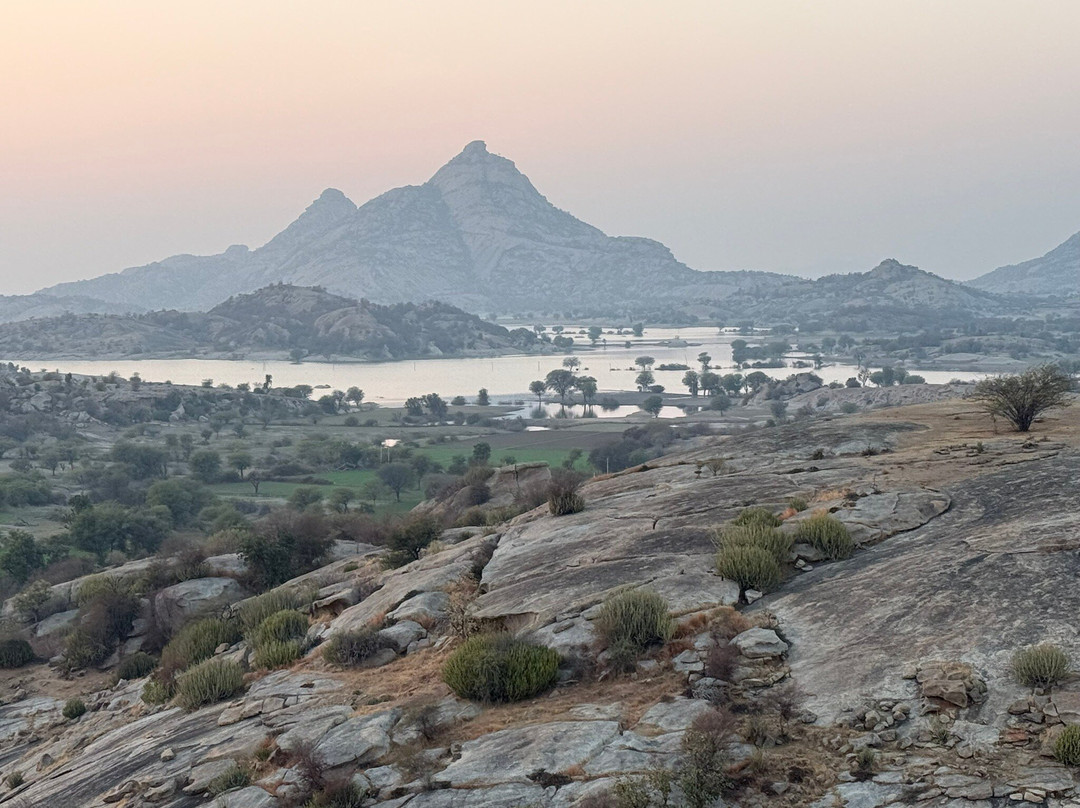 The Wild Cat Eyes-Bera必去景点