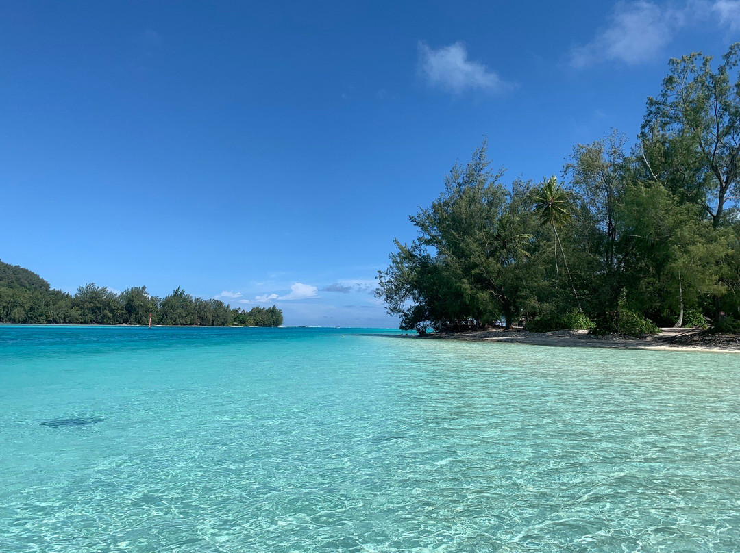 Moorea Tiki Tour-Paopao必去景点