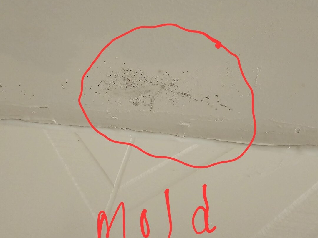 Hilton Garden Inn Atlanta Ne/gwinnett Sugarloaf主图