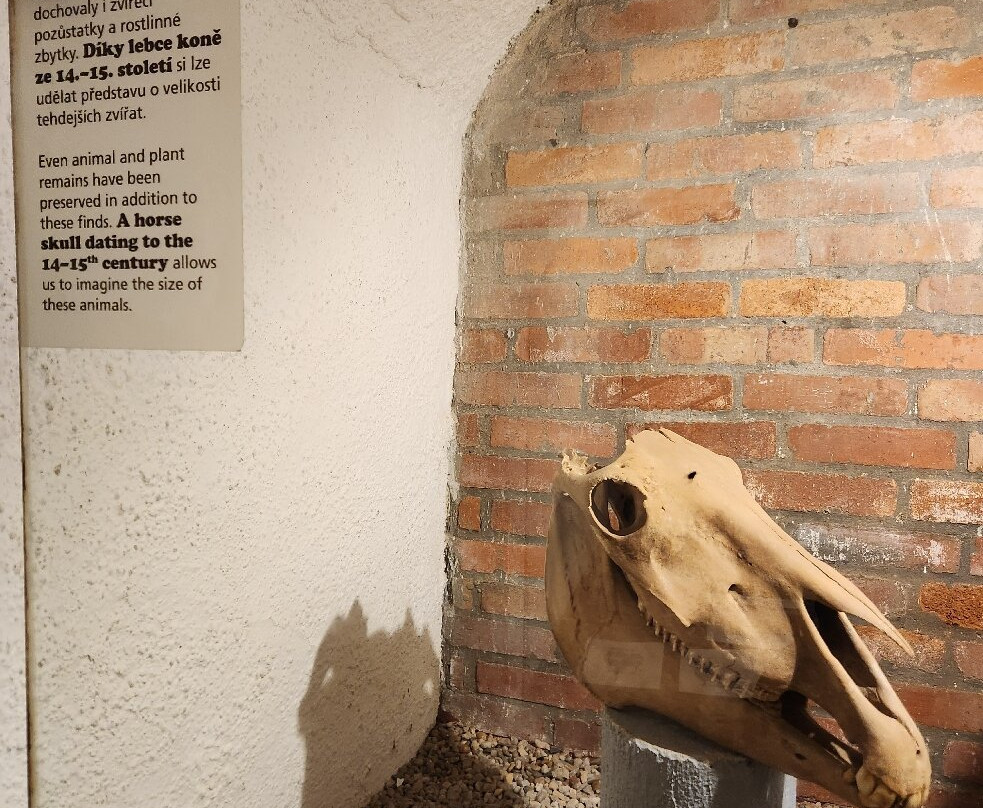 Plzen Historical Underground-皮尔森必去景点