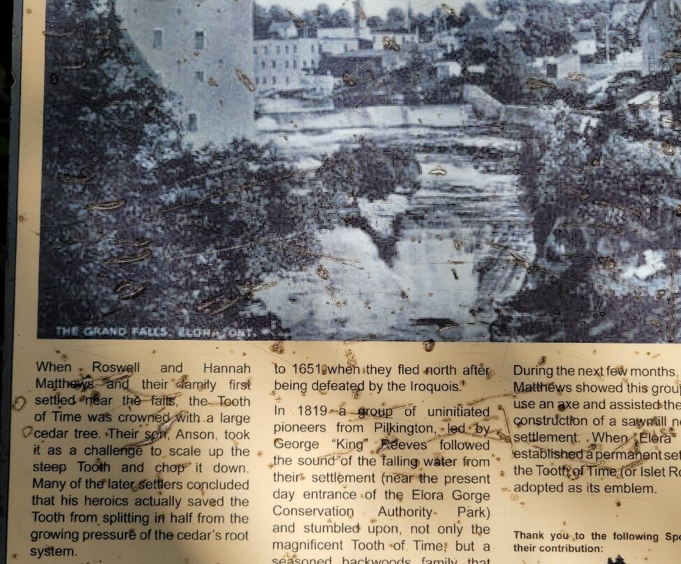 Elora Gorge Falls-伊劳拉必去景点