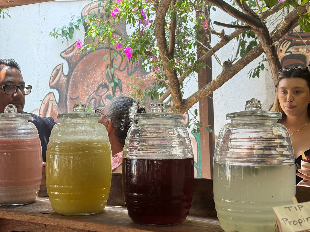 Discover Oaxaca Tours-瓦哈卡必去景点