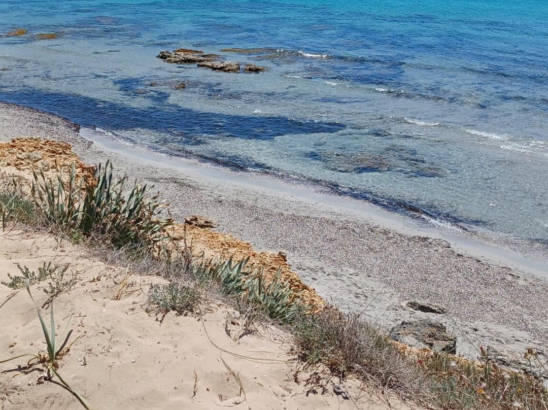Playa De Binigaus-Migjorn Gran必去景点
