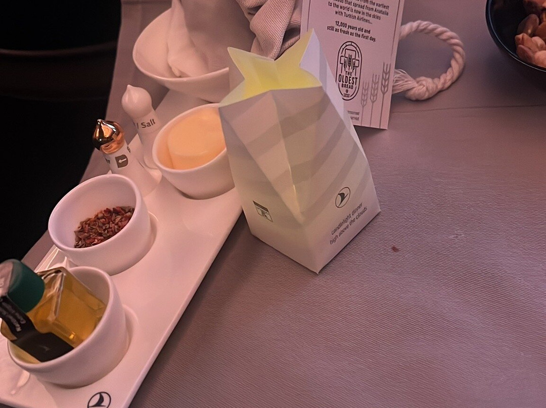 Turkish Airlines Lounge Departures-伊斯坦布尔必去景点