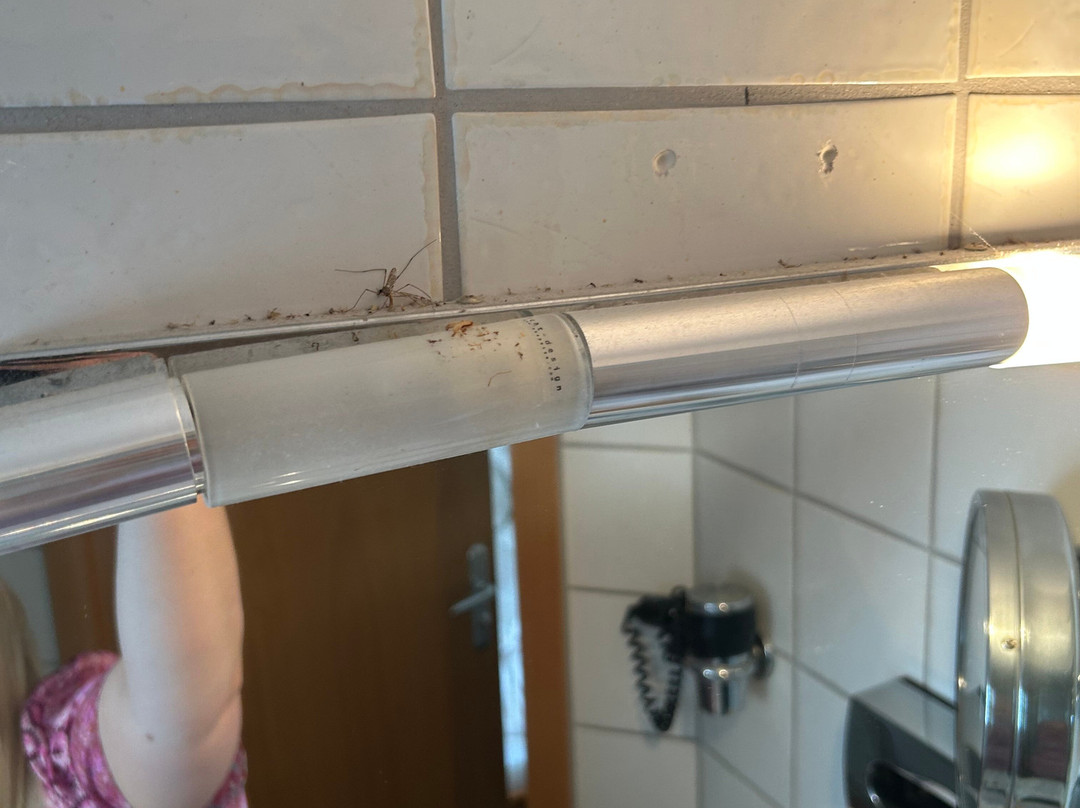 Adler Am Schloss Hotel主图