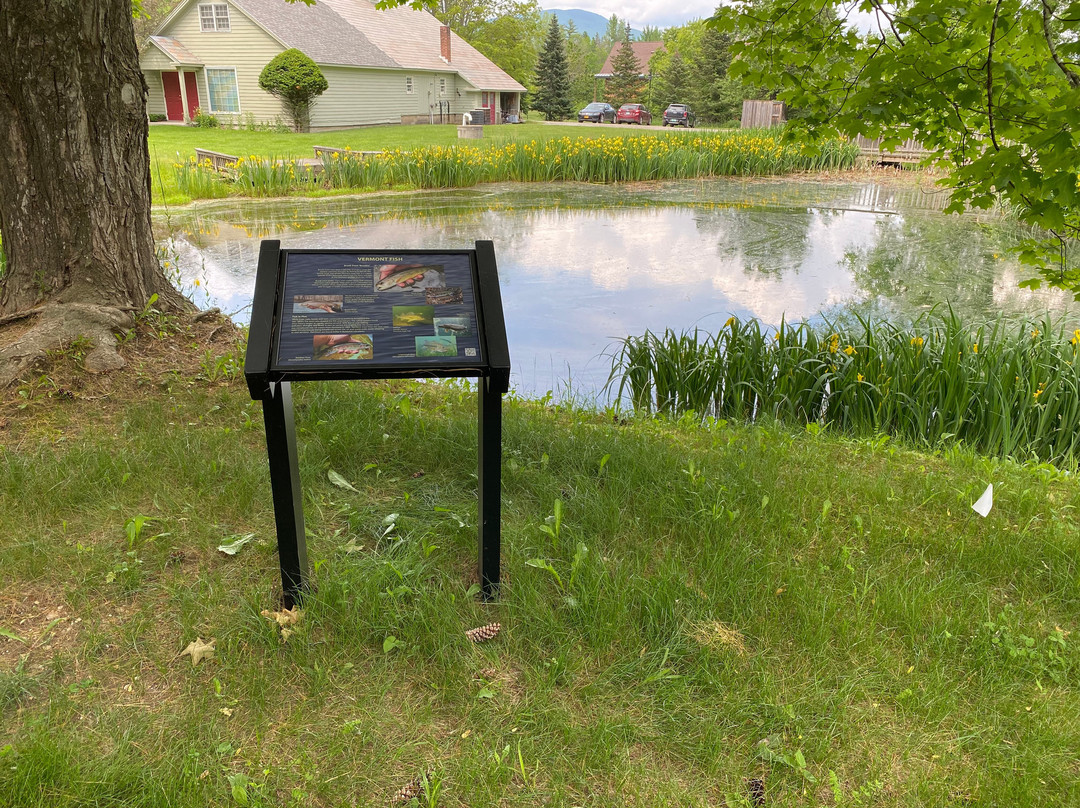 The American Museum of Fly Fishing-曼彻斯特必去景点