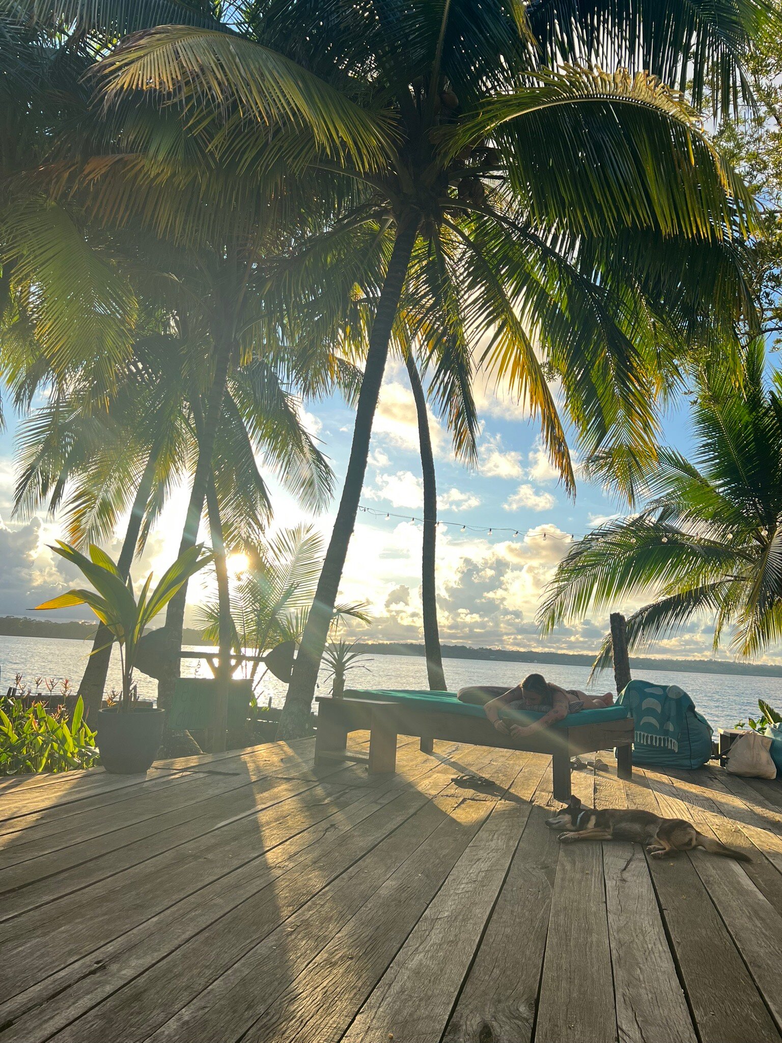 The Firefly Bocas Del Toro-官方