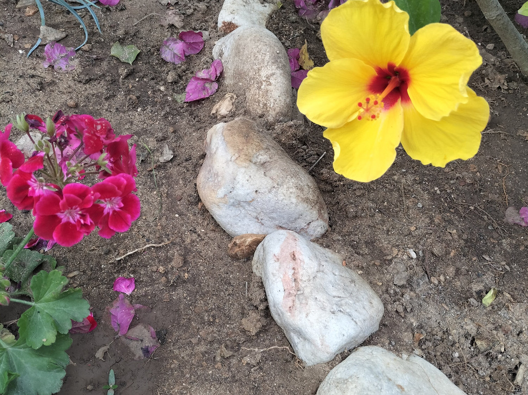 O Kipos Guesthouse主图