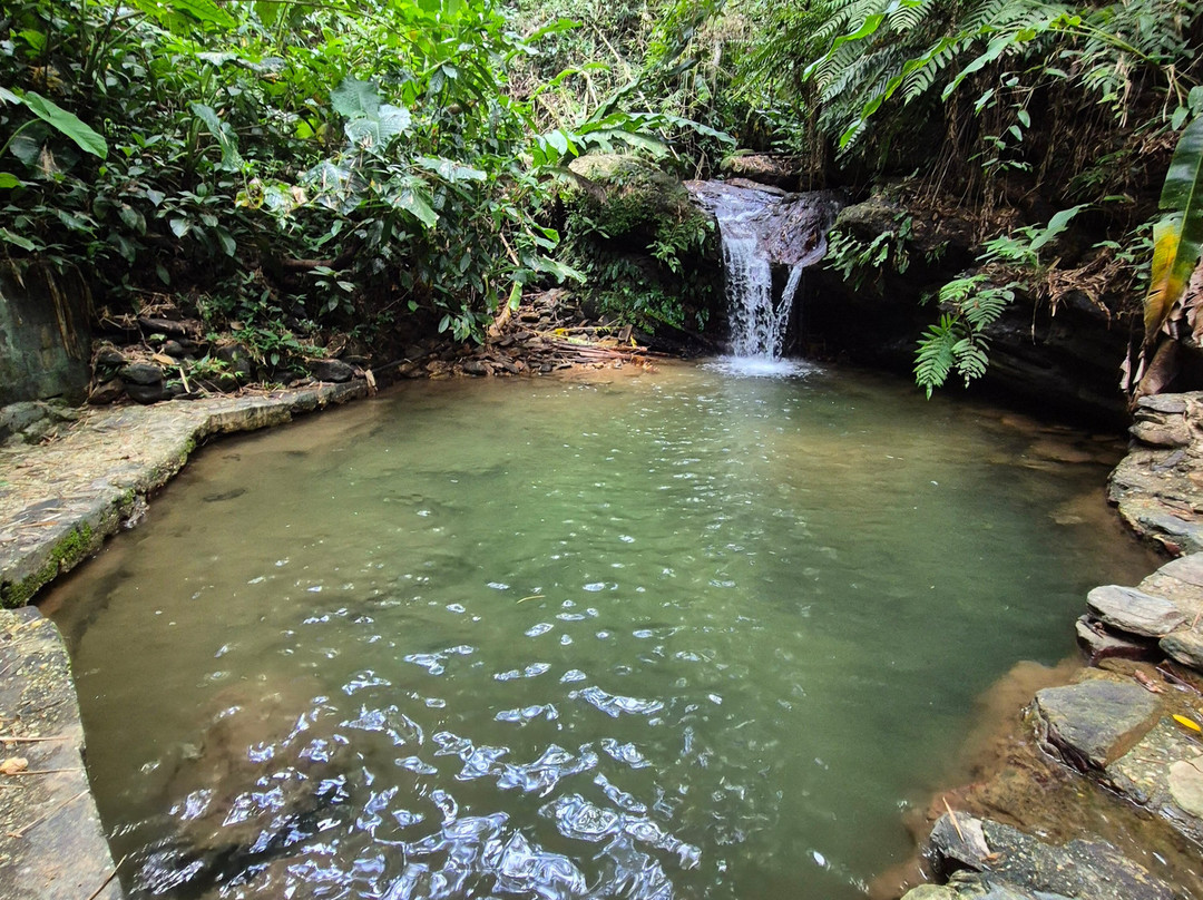 Hadco Experiences At Asa Wright Nature Centre-特立尼达必去景点