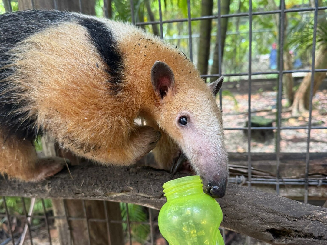 ZWF野生动物园景点图片
