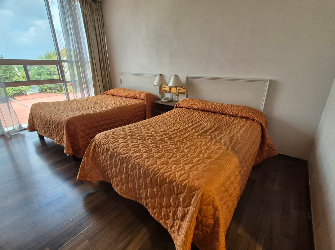 San Francisco Toluca Hotel主图