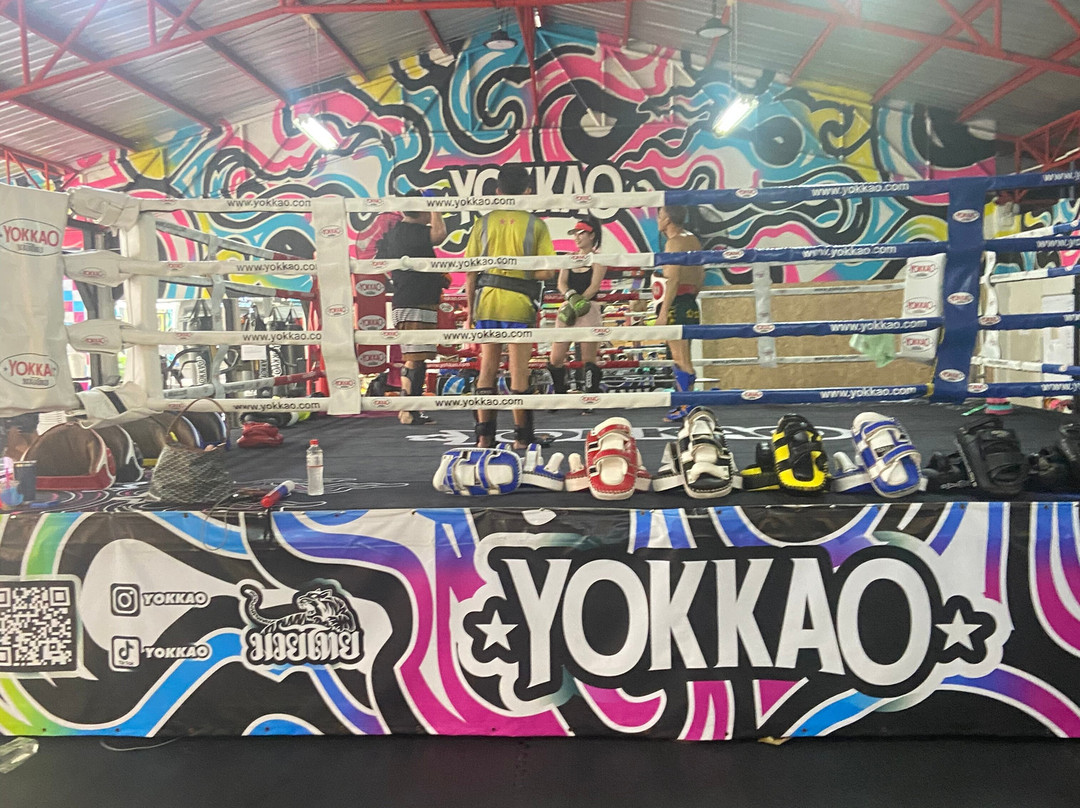 Yokkao  Training Center Bangkok-曼谷必去景点