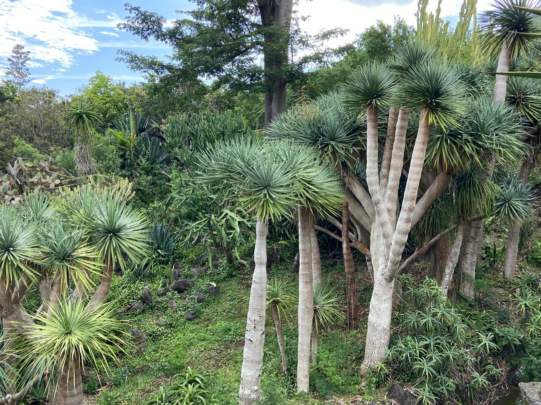Conservatoire Botanique National景点图片