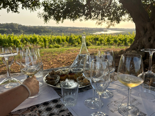 Baglio Aimone-马扎拉－德尔瓦洛必去景点