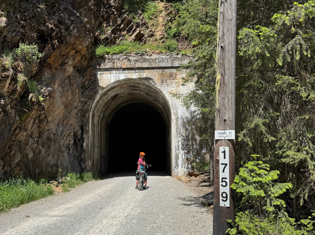 Discovery Bicycle Tours景点图片
