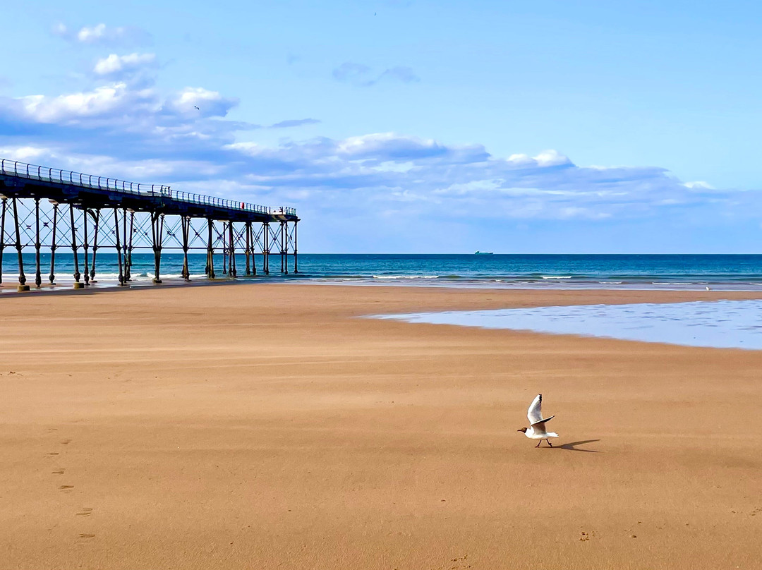 Saltburn Pier景点图片