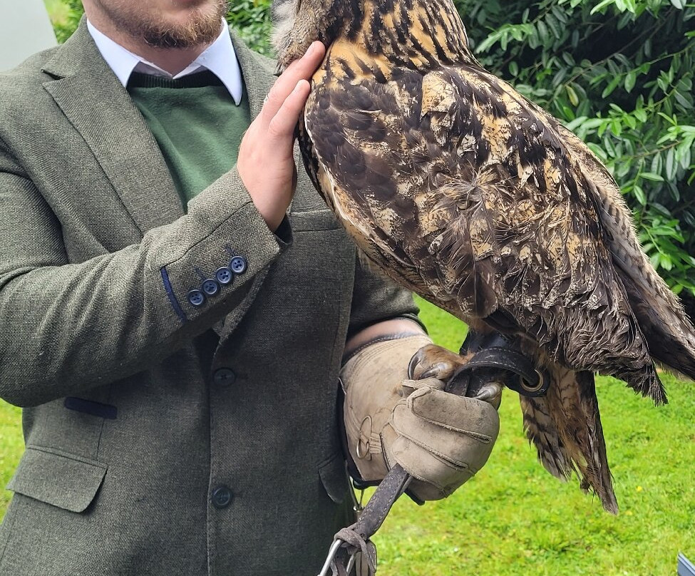 Newgrange Falconry-Julianstown必去景点