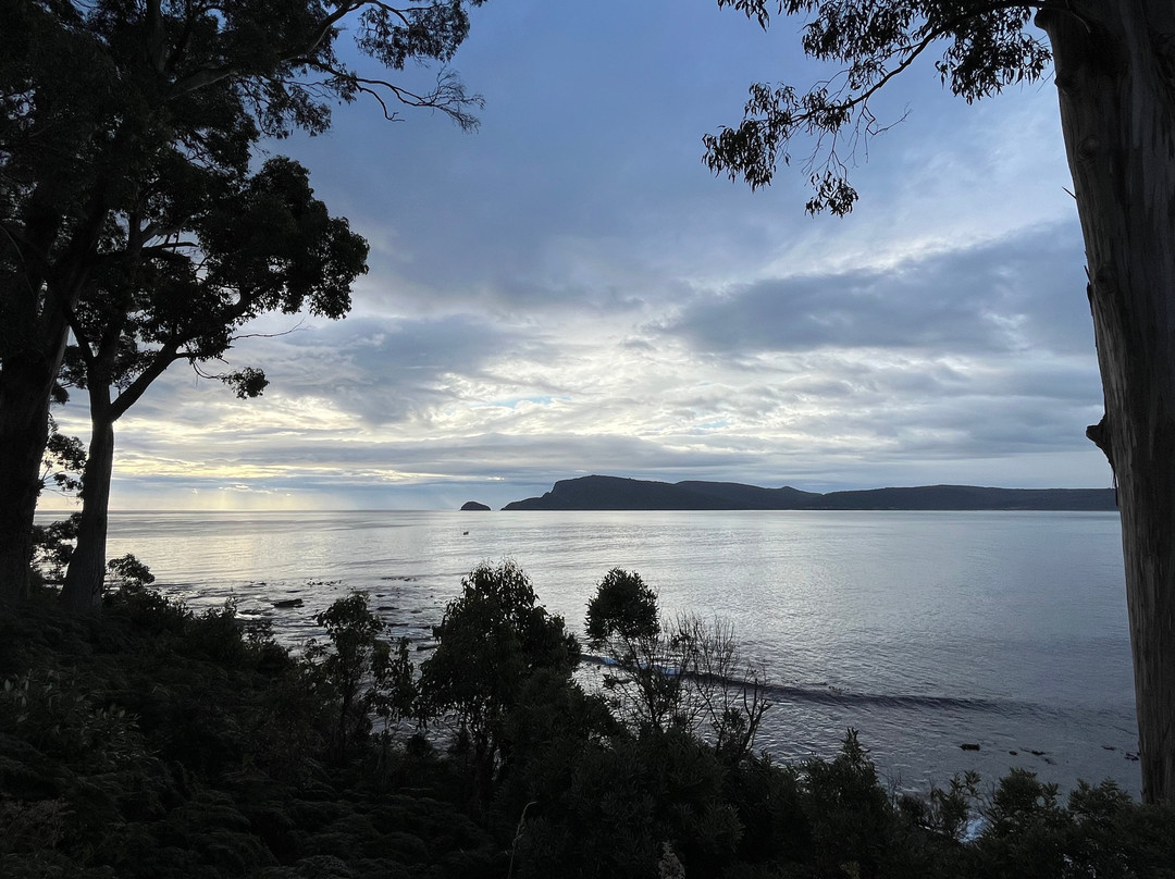 Coal Point-Adventure Bay必去景点