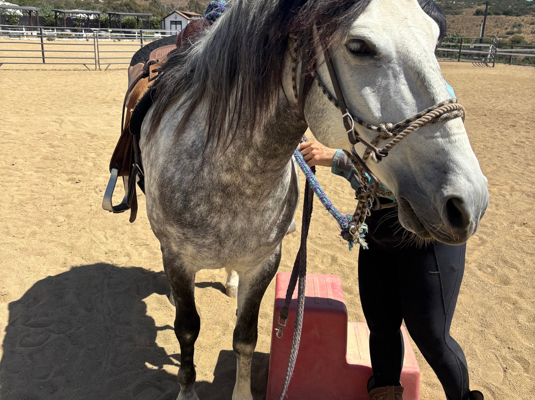 San Diego Trail Company-波威必去景点