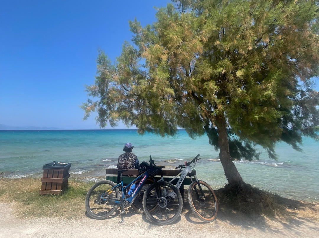 Cycling Center Zakynthos Podilatadiko-扎金索斯镇必去景点