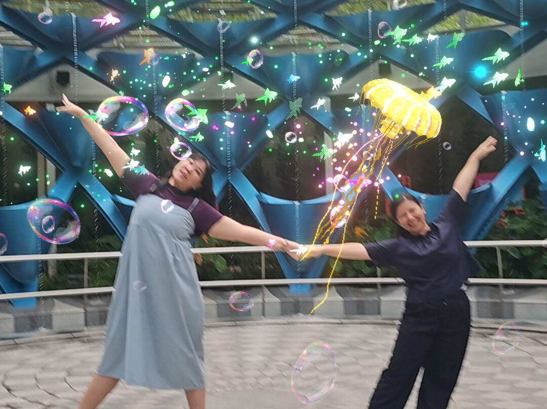 Sentosa SensoryScape-新加坡必去景点