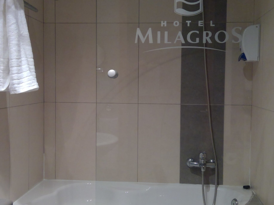 Hotel Milagros Rio Riaza主图