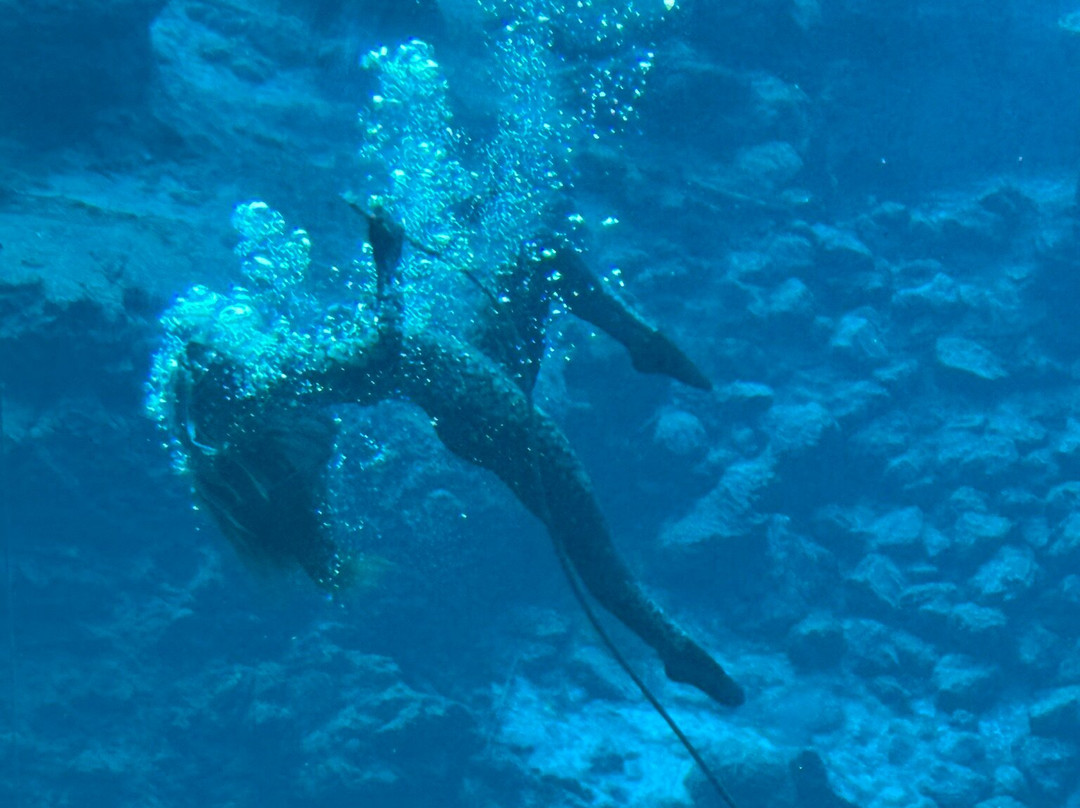 Weeki Wachee Springs State Park-Spring Hill必去景点