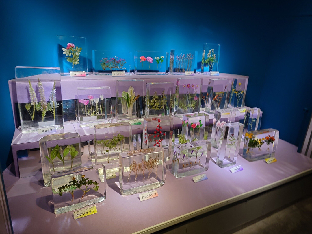 Okhotsk Sea Ice Museum of Hokkaido GIZA-纹别市必去景点