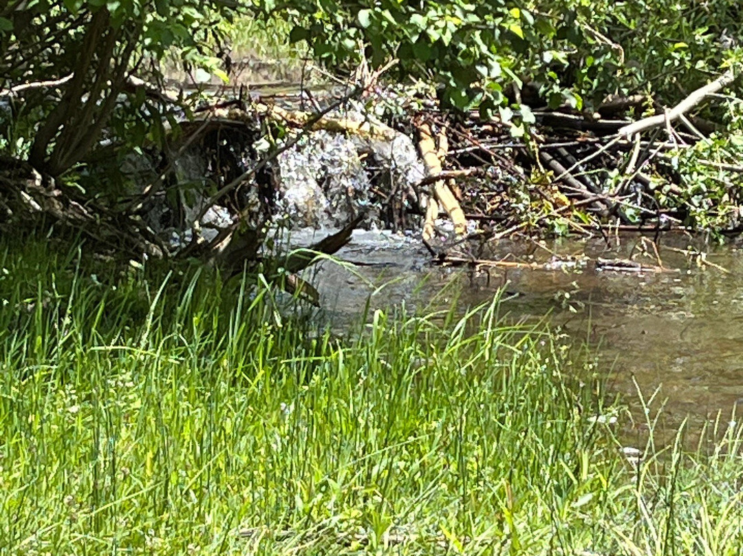 Mountain Master Off-Road Tours-Mosca必去景点