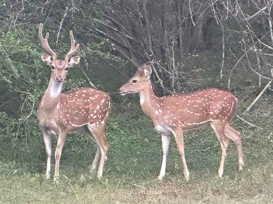 Ceylon Culture And Nature-Dehiwala必去景点