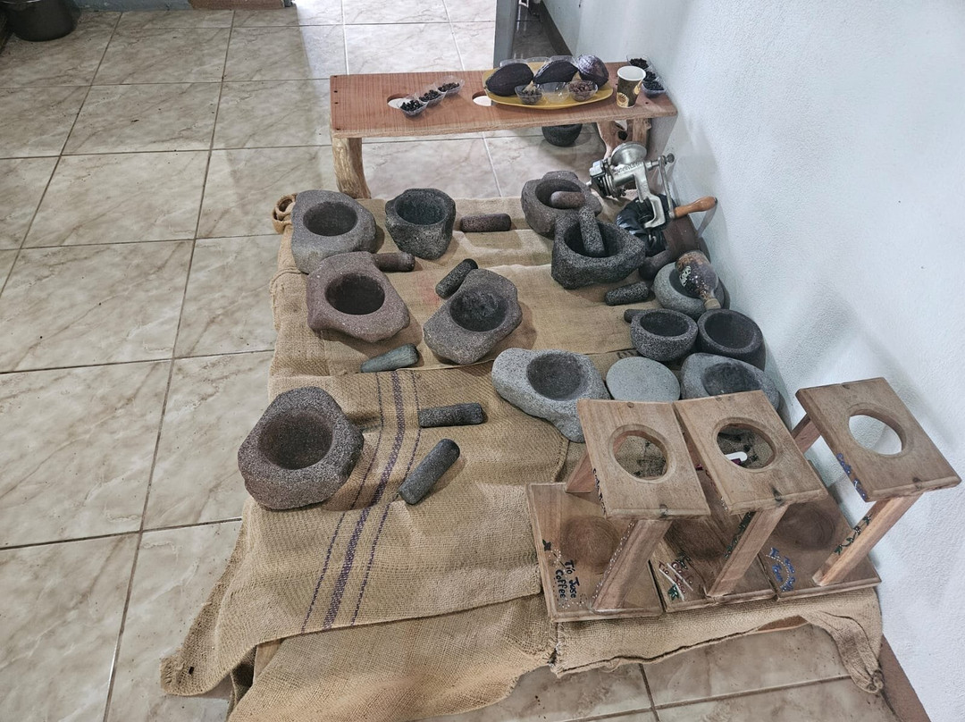 TIO JOSE COFFEE TOUR-葛雷西亚必去景点