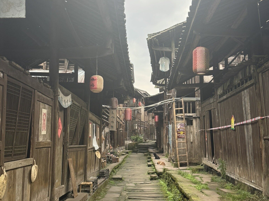 雅安周公山国家森林公园-雅安市必去景点