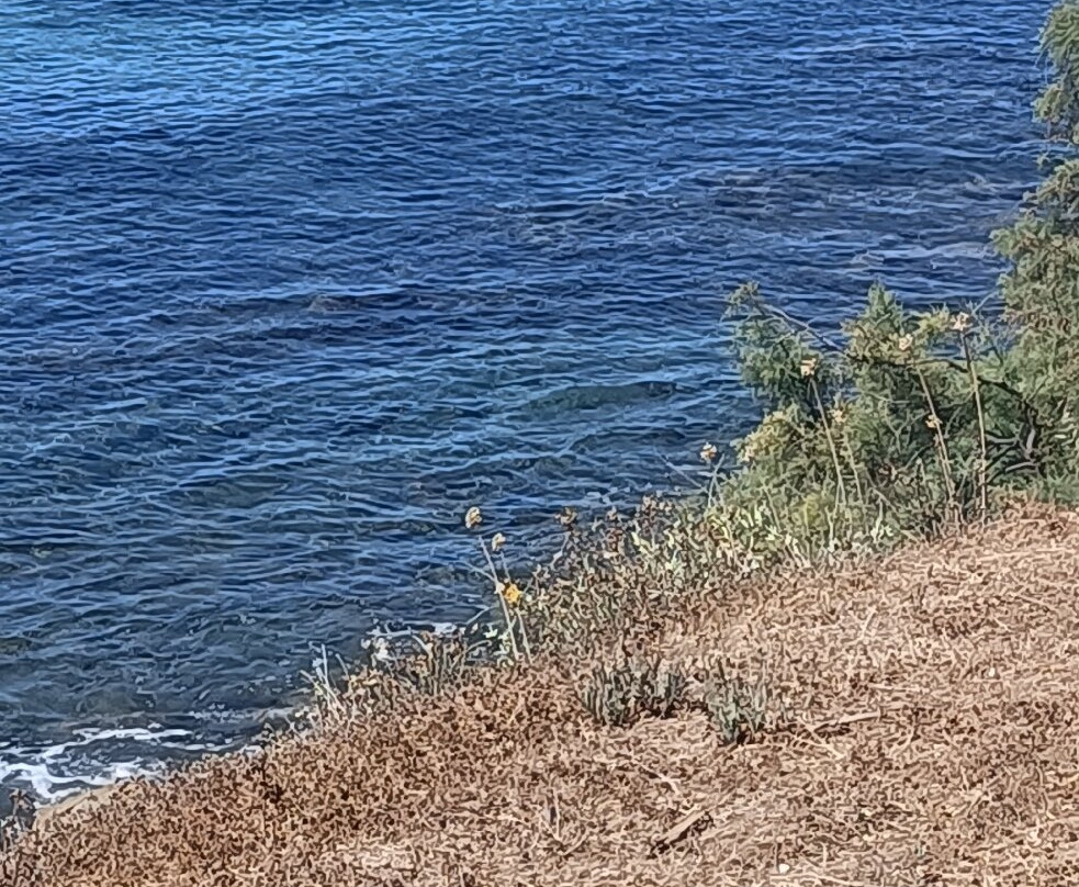 Punta Licosa-Castellabate必去景点