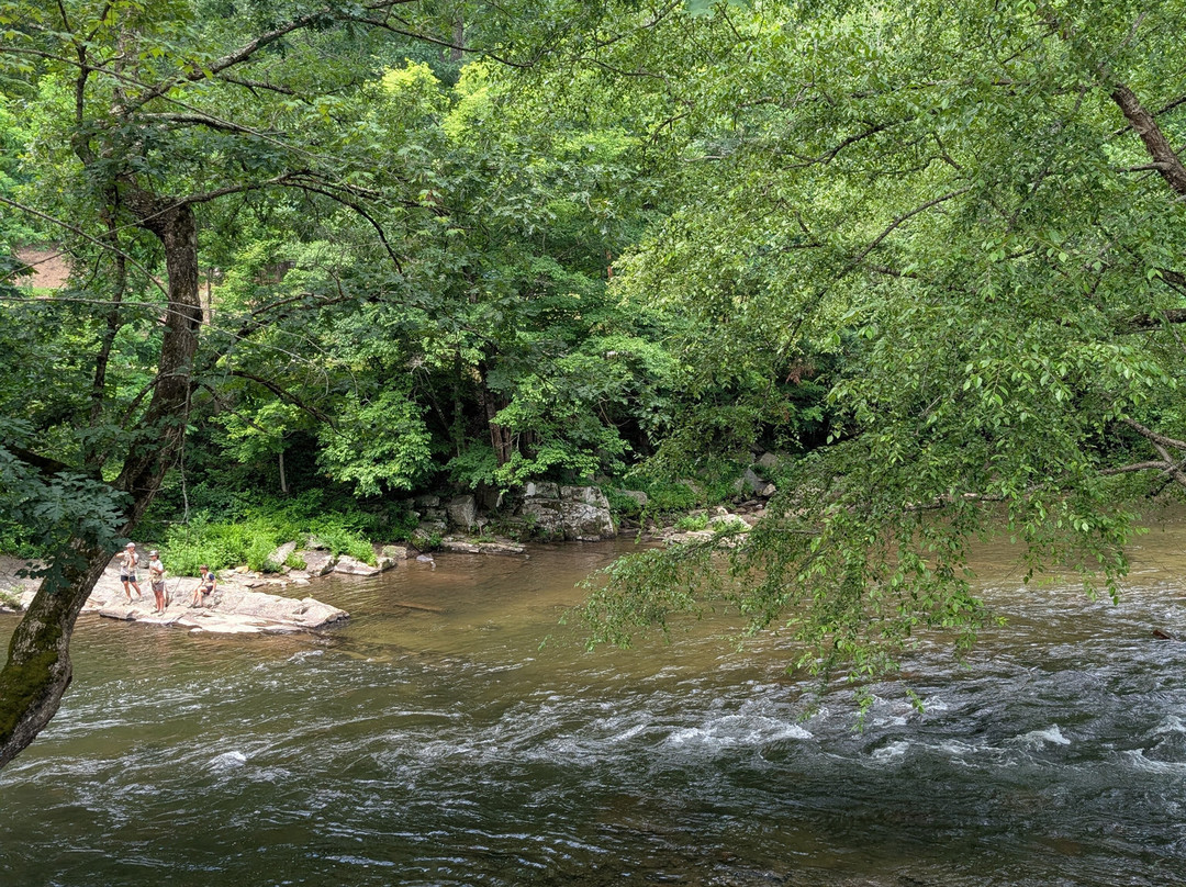 The What's Hot Shop-切罗基必去景点