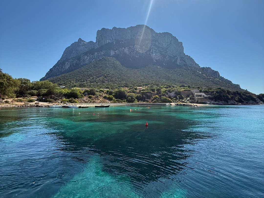 Oltremare Escursioni Golfo Aranci-Golfo Aranci必去景点