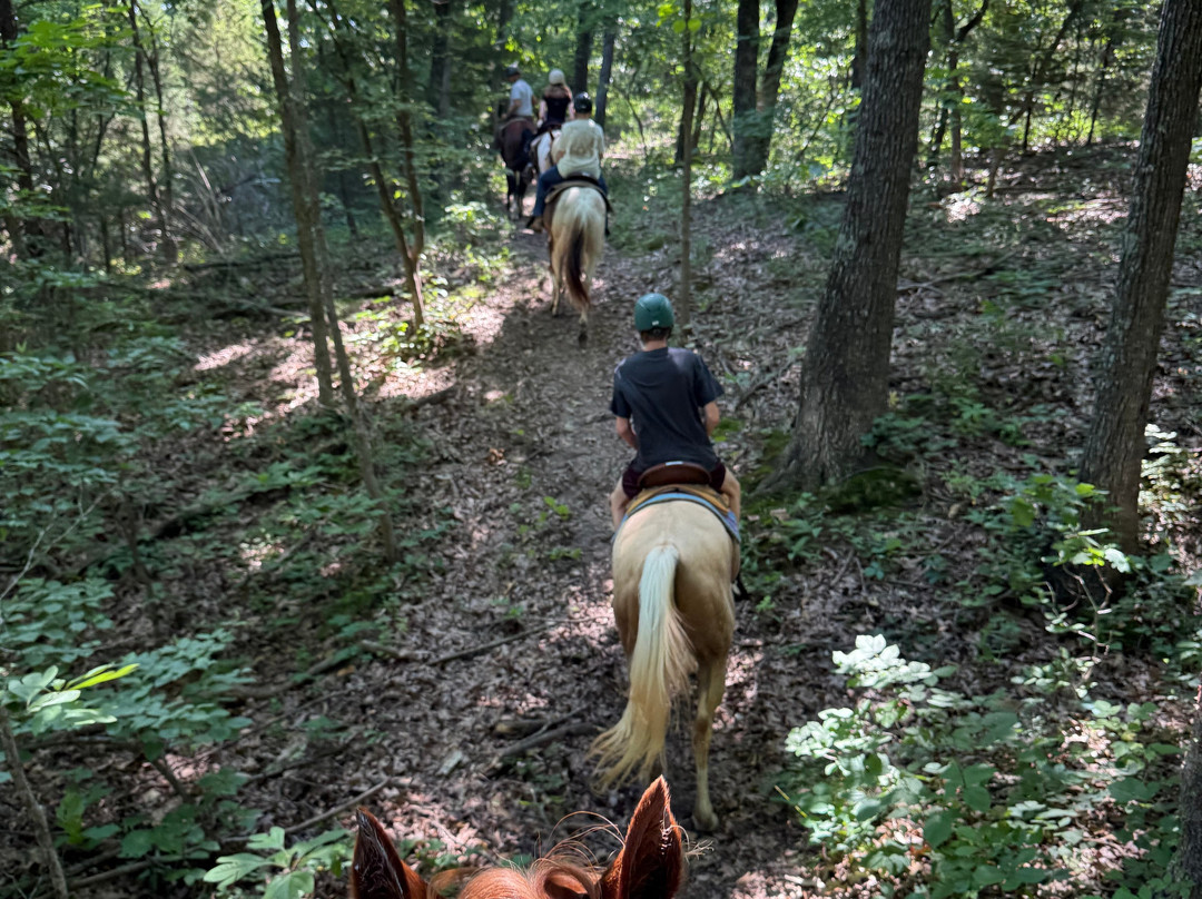 Lake of the Ozarks Trail Rides-Eldon必去景点