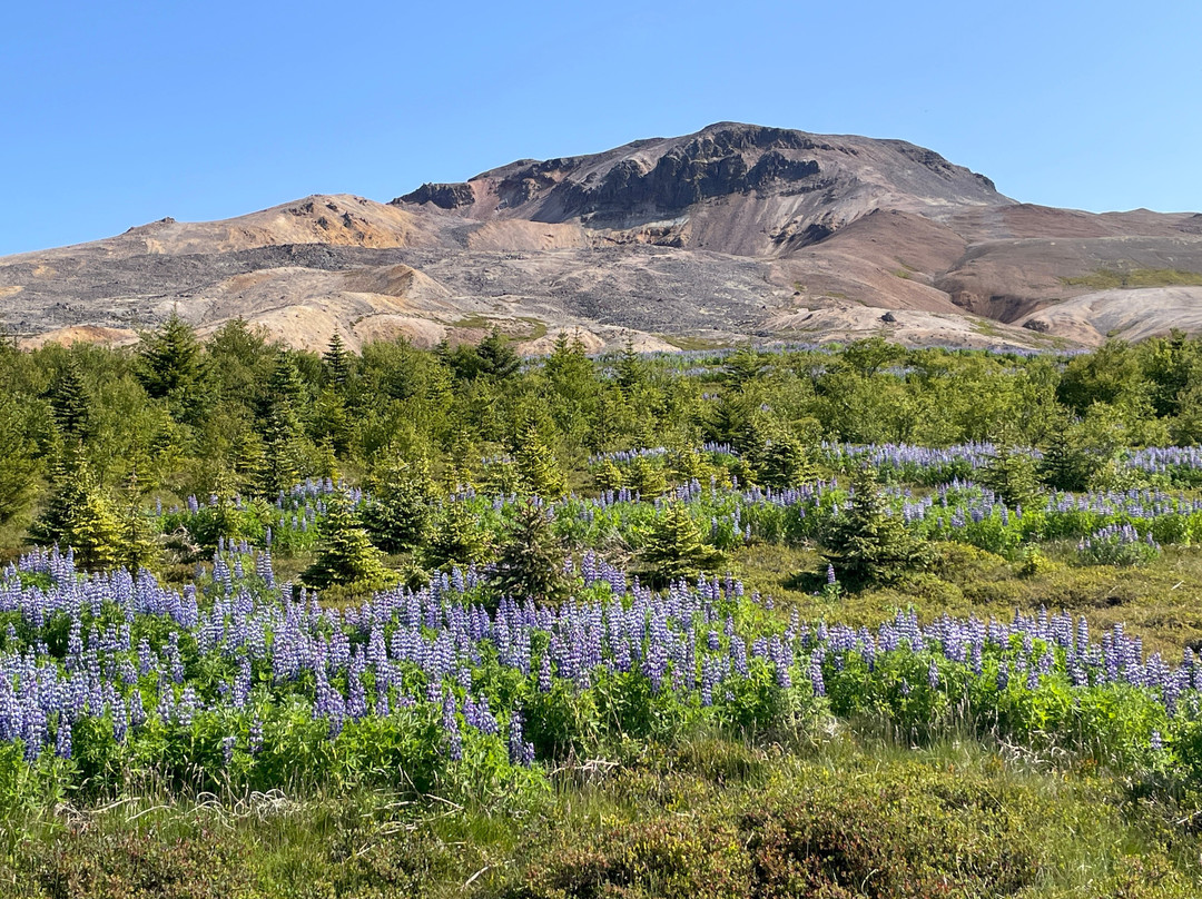 Dráphlíðarfjall-Stykkisholmur必去景点