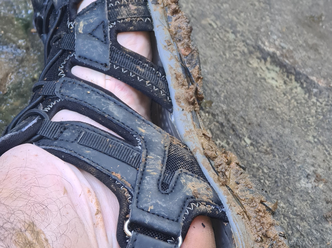 Trilha das Quatro Praias-Itacare必去景点